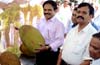 Mangalore: Jackfruit Mela at Ekkur attracts large crowds
